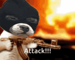 attacker: