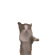 plzz: