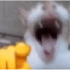 zaa: