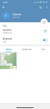 Screenshot_2022-04-05-15-43-55-245_org.telegram.messenger.jpg