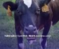 1653932363144.png