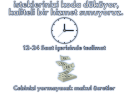 1734249943443.png