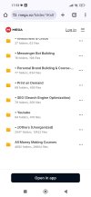Screenshot_2025-01-07-17-53-04-233_com.android.chrome.jpg