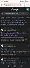 Screenshot_2025-02-17-19-47-20-161_com.android.chrome.jpg