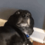 1762001537476.gif