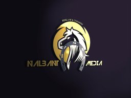 nalbantmedia