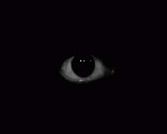 LoqxBat