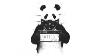 HacklenenHacker