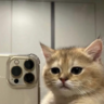 wares