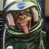 SpaceMandrill