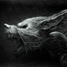xcerberus