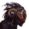 StealthK9