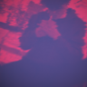 Hidemyas