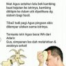 ATNasution
