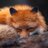 FOXTR