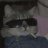 FileFox
