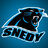 Snedy